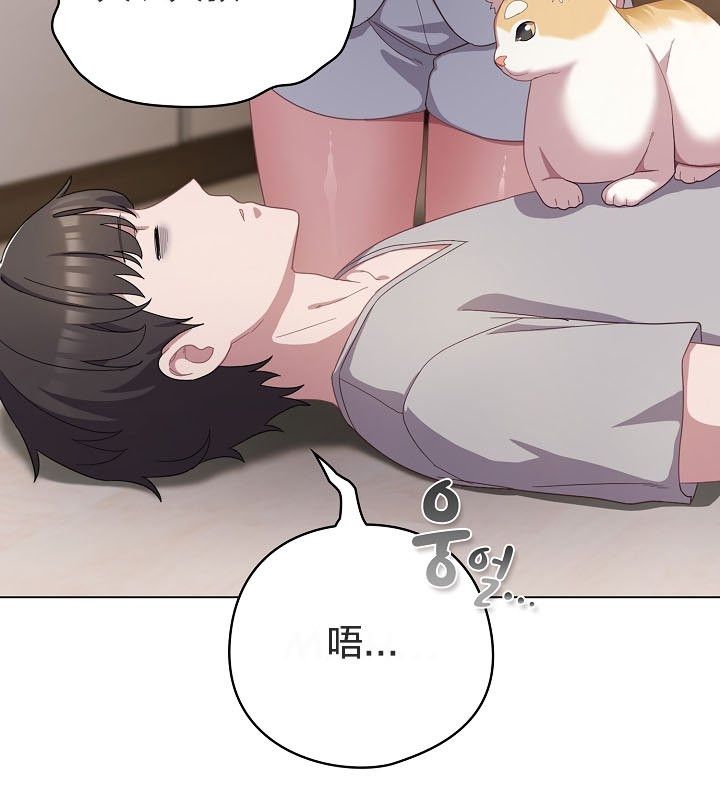 161P - 猫猫牵红线