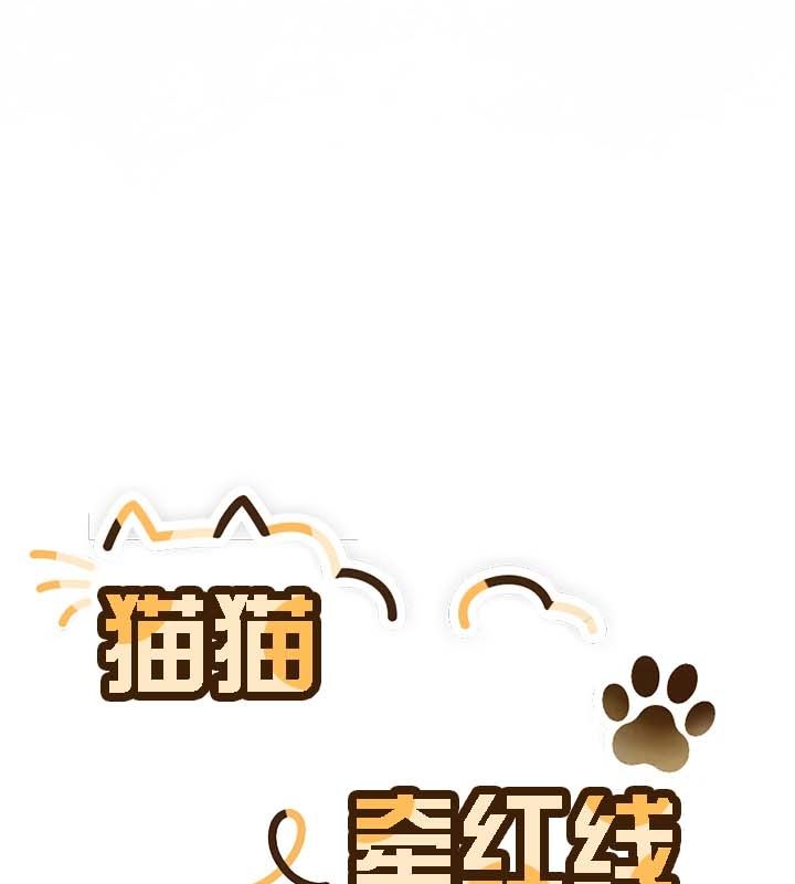 44P - 猫猫牵红线