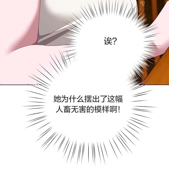 76P - 猫猫牵红线