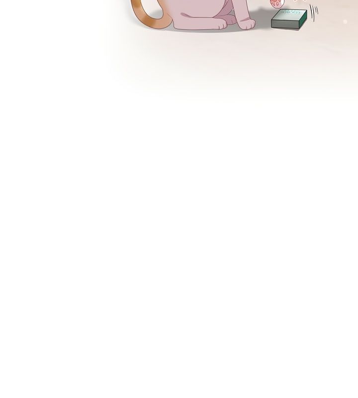 101P - 猫猫牵红线