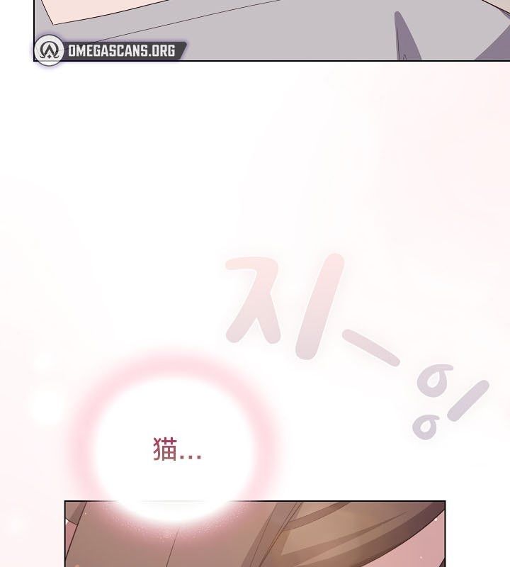 11P - 猫猫牵红线