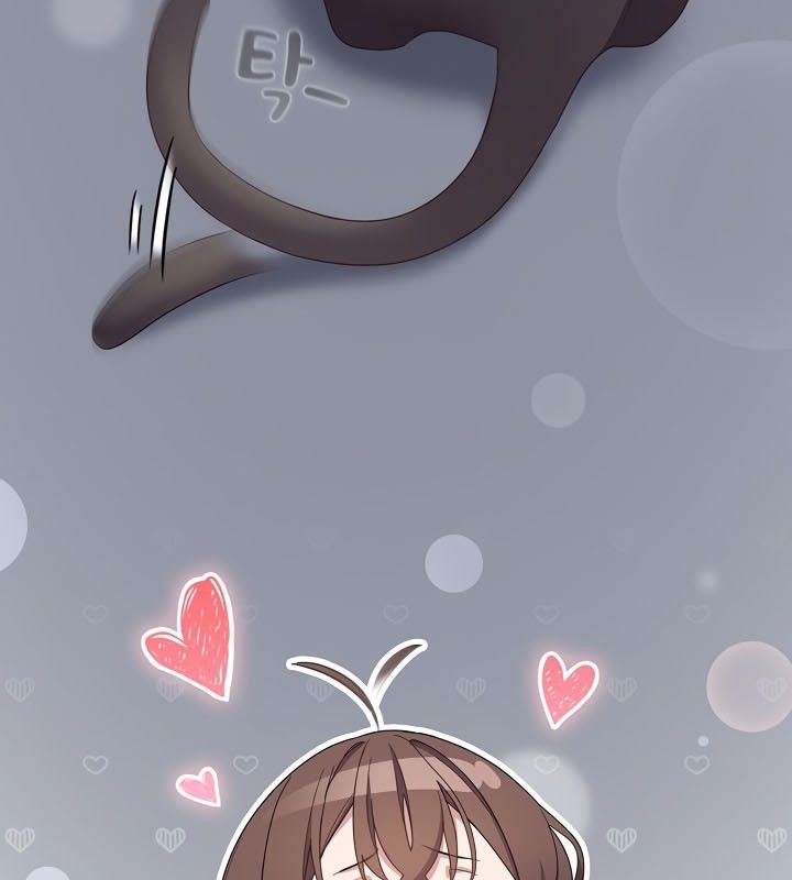 16P - 猫猫牵红线