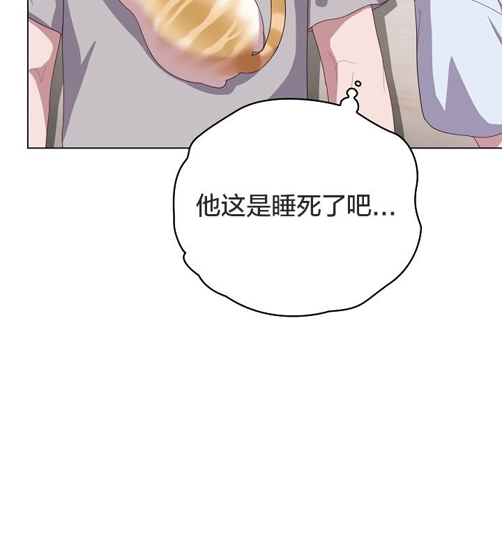 20P - 猫猫牵红线