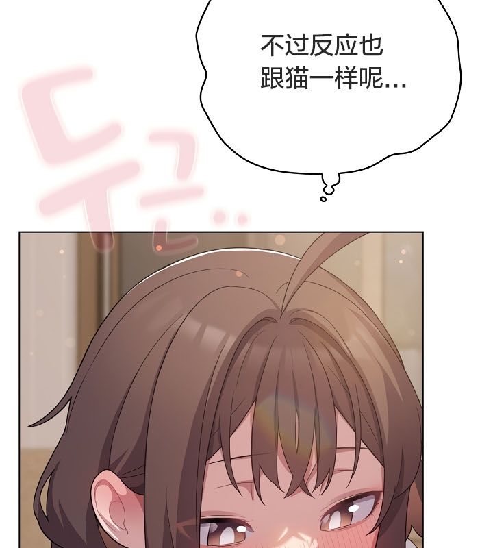 36P - 猫猫牵红线