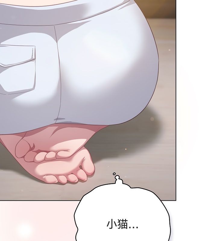 40P - 猫猫牵红线