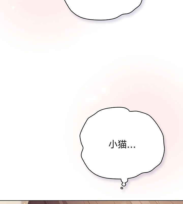 41P - 猫猫牵红线