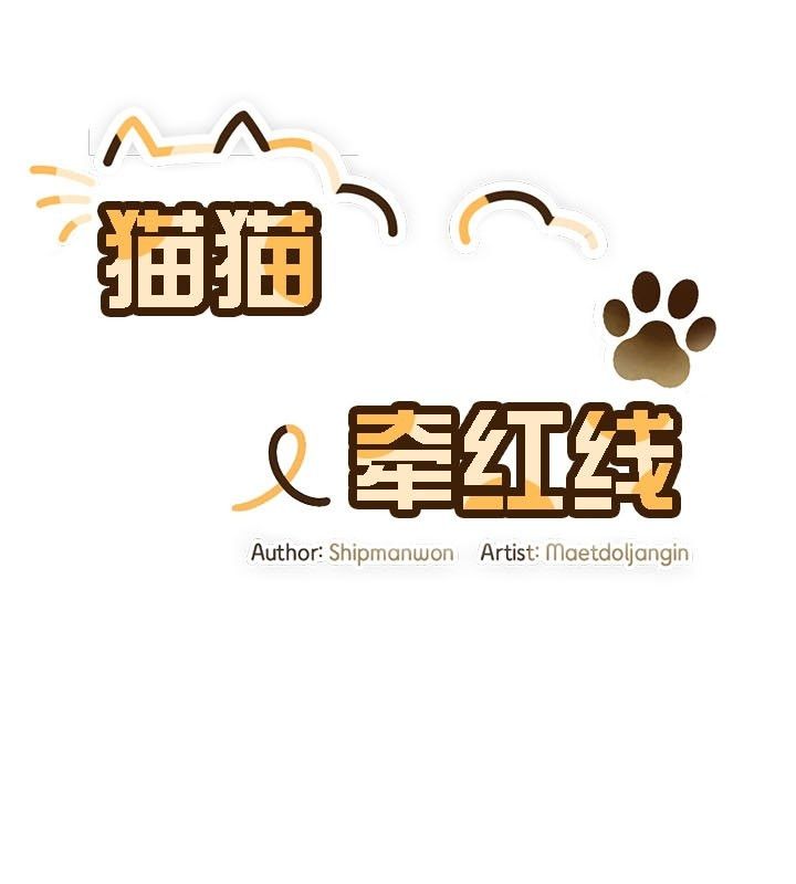 4P - 猫猫牵红线