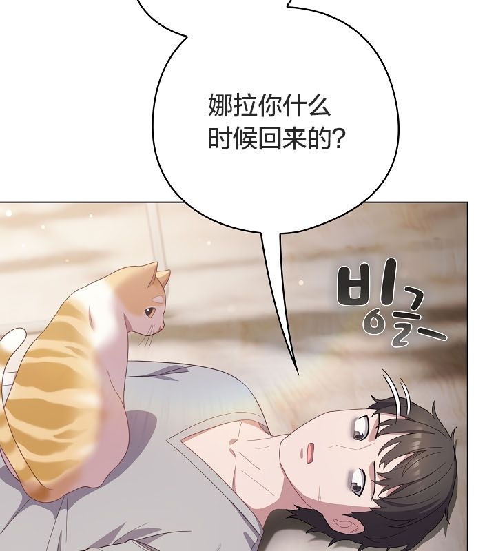 60P - 猫猫牵红线