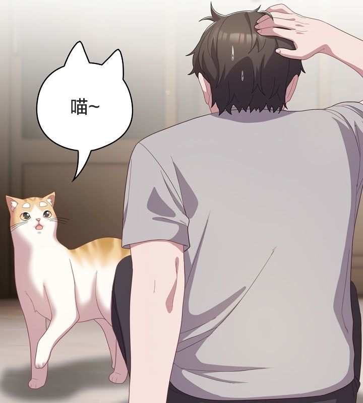 65P - 猫猫牵红线