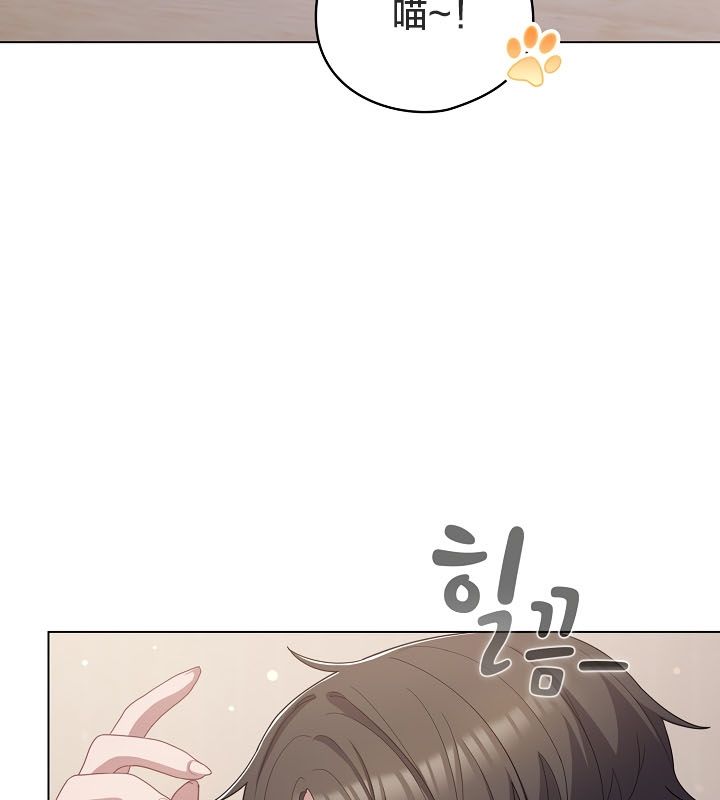 70P - 猫猫牵红线