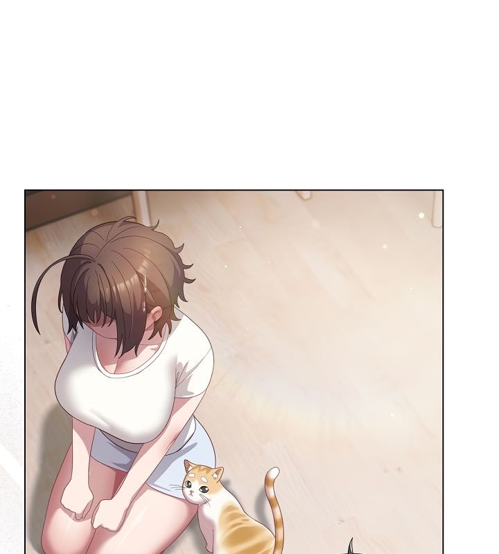 82P - 猫猫牵红线