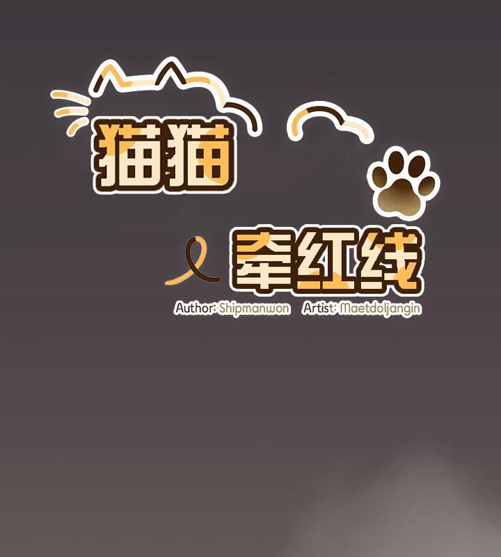 113P - 猫猫牵红线