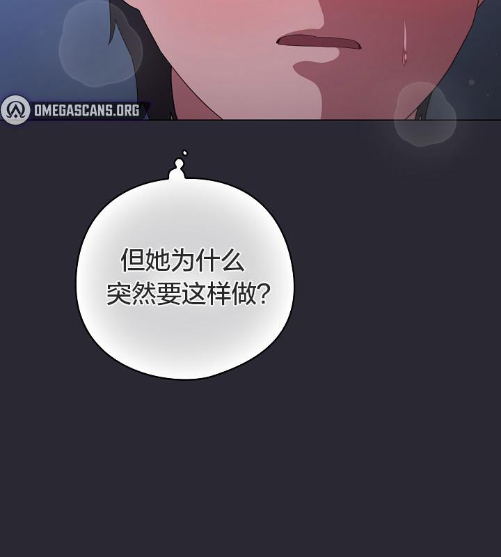 13P - 猫猫牵红线