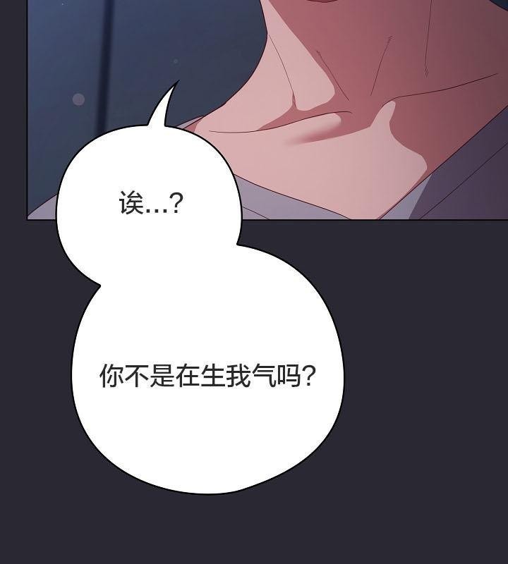 39P - 猫猫牵红线