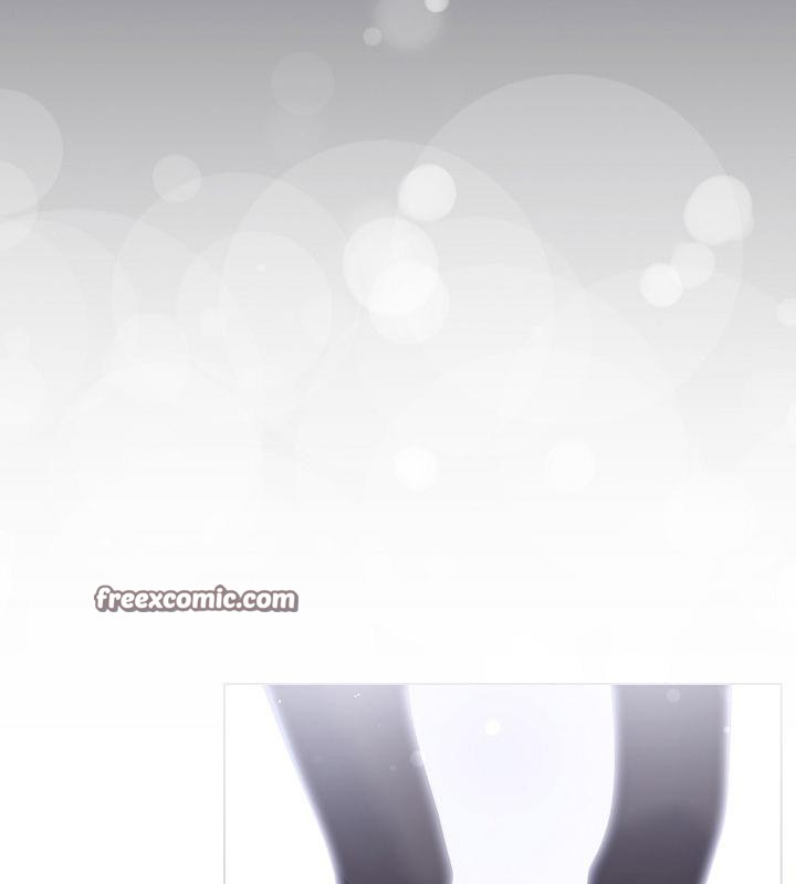 64P - 猫猫牵红线