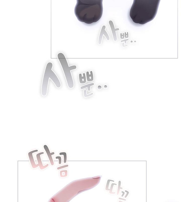 65P - 猫猫牵红线