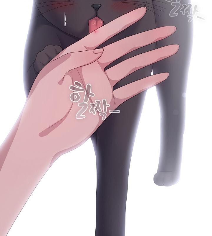 69P - 猫猫牵红线