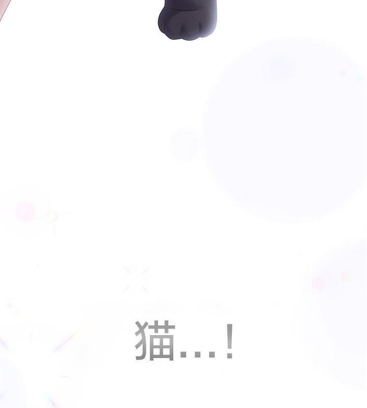 70P - 猫猫牵红线