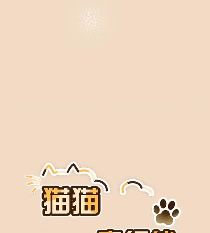 64P - 猫猫牵红线