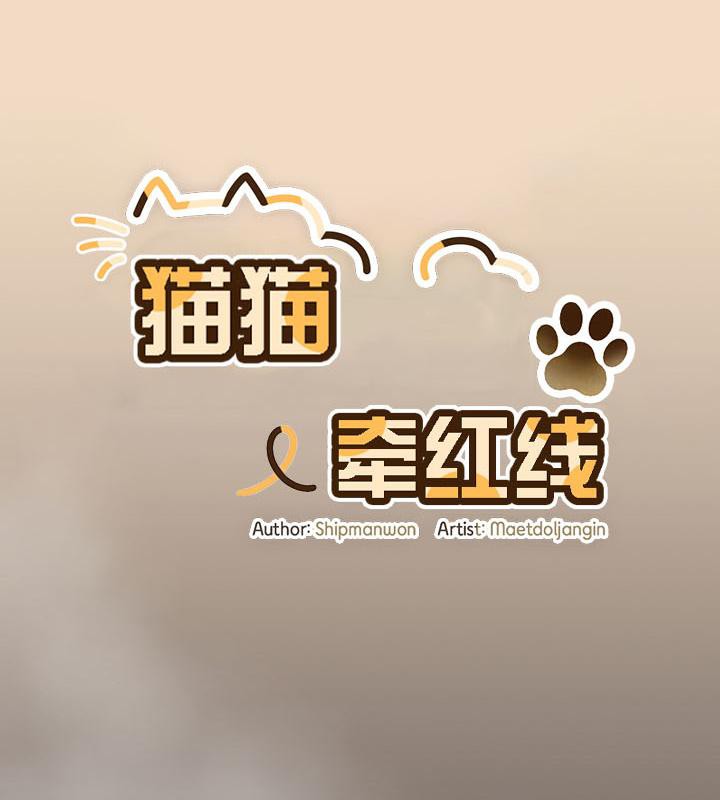 56P - 猫猫牵红线