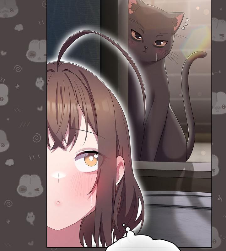 76P - 猫猫牵红线