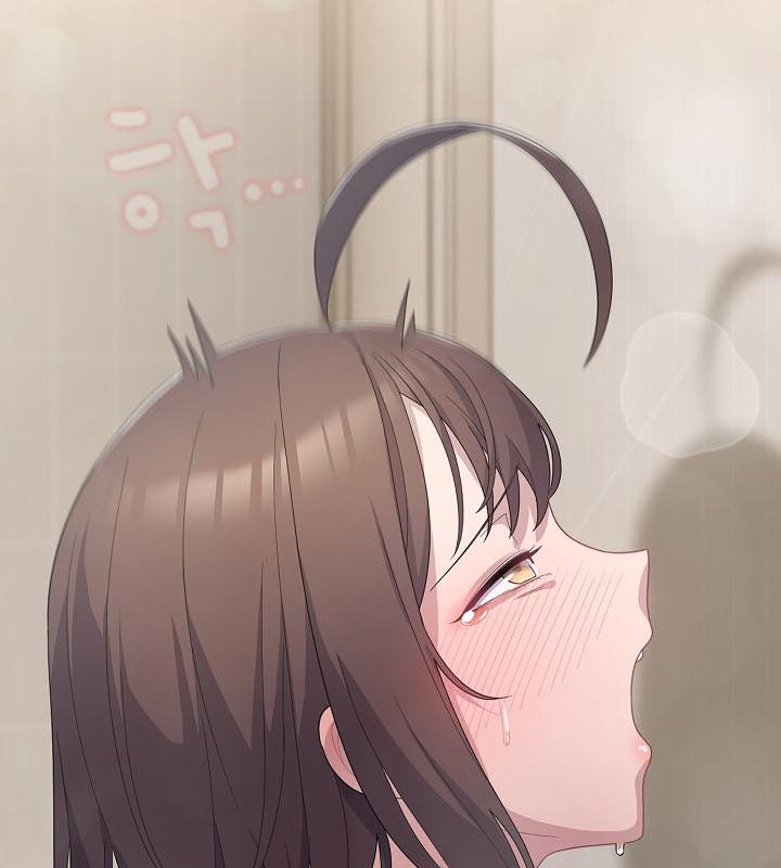8P - 猫猫牵红线