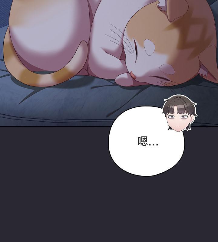 137P - 猫猫牵红线