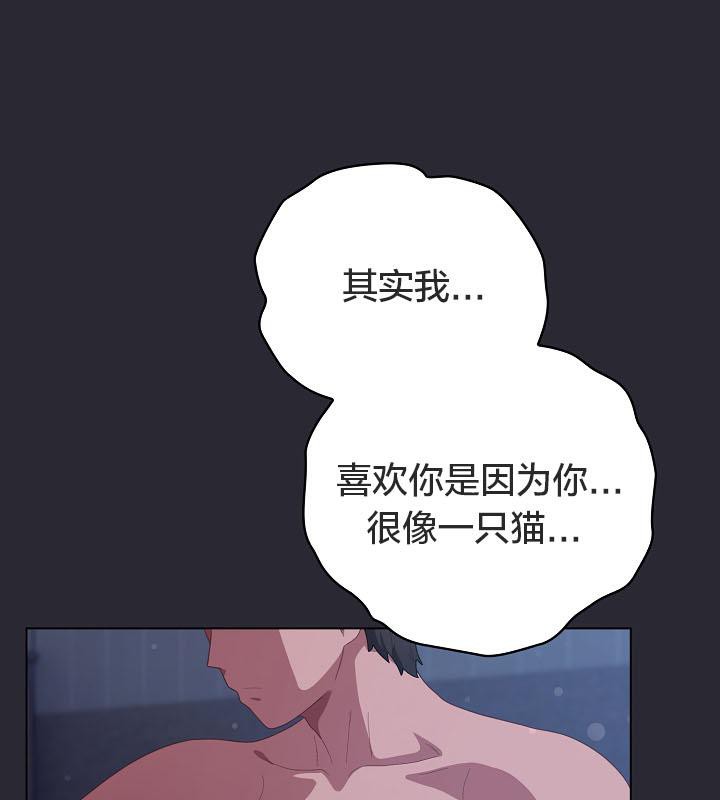 166P - 猫猫牵红线