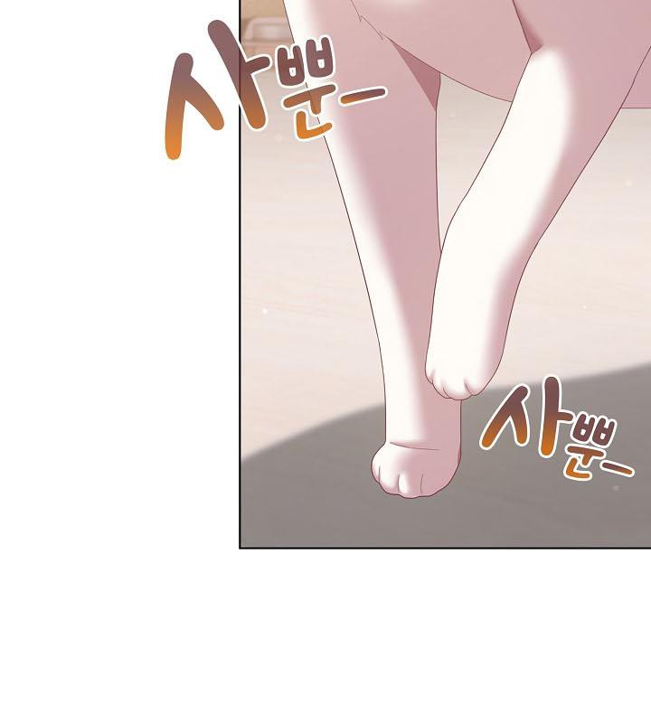 125P - 猫猫牵红线
