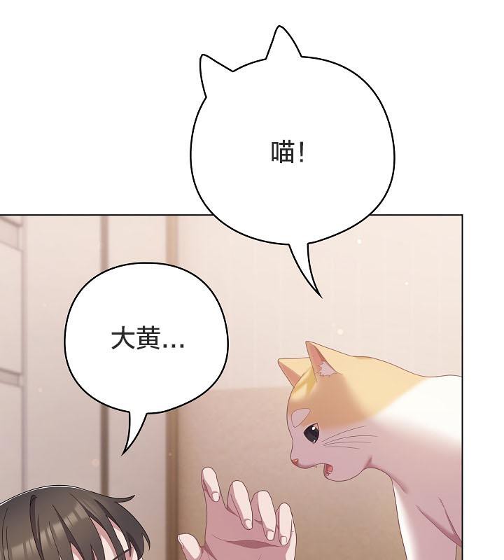 126P - 猫猫牵红线