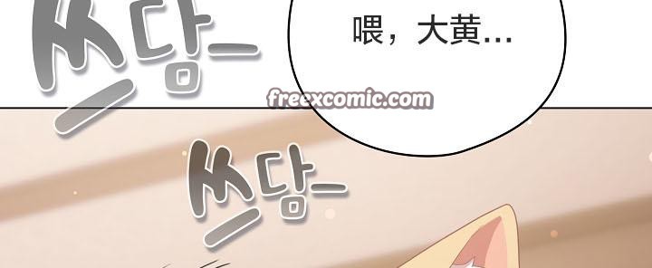 128P - 猫猫牵红线
