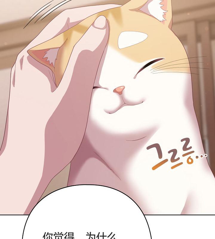 129P - 猫猫牵红线