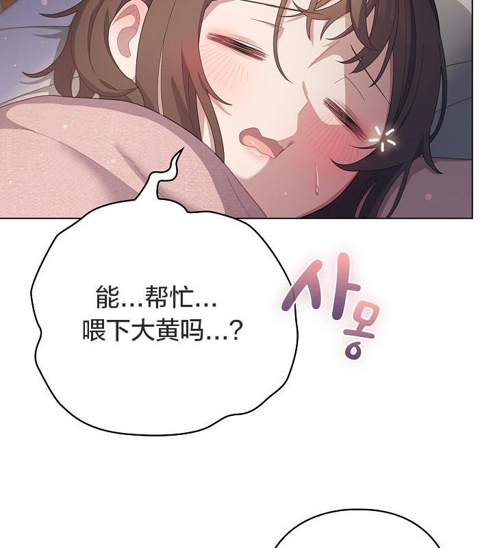 12P - 猫猫牵红线