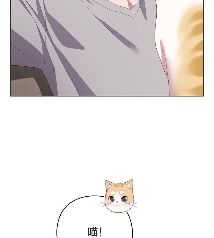 132P - 猫猫牵红线