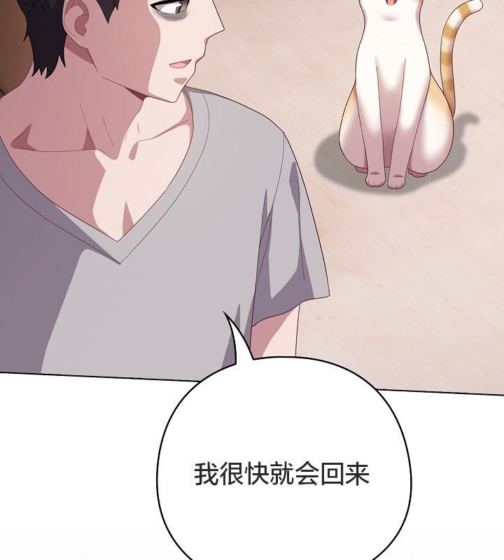 140P - 猫猫牵红线