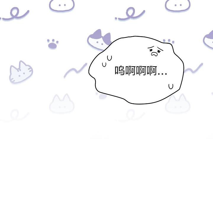 15P - 猫猫牵红线