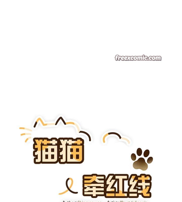 16P - 猫猫牵红线