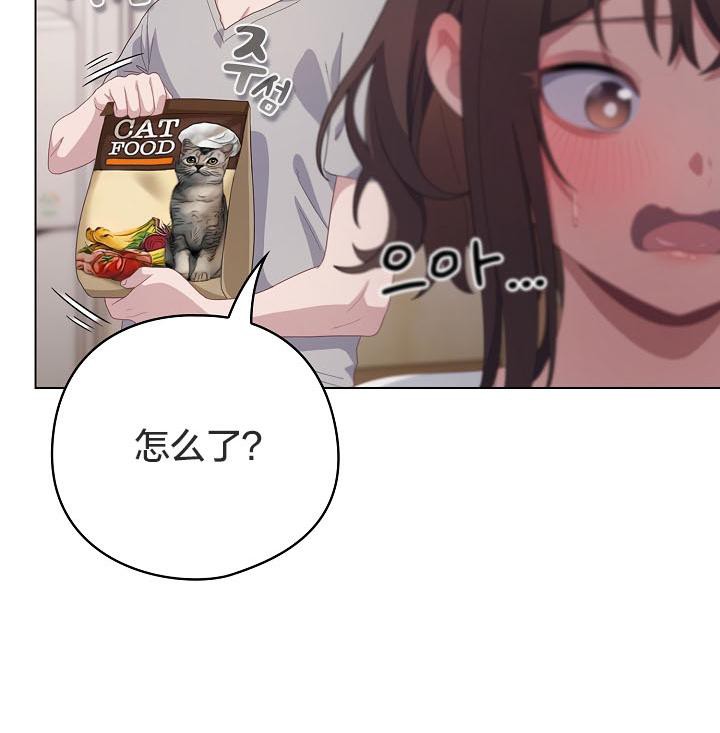 20P - 猫猫牵红线