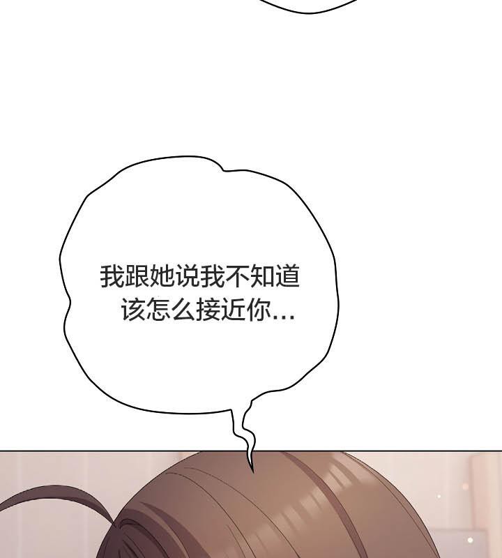 31P - 猫猫牵红线