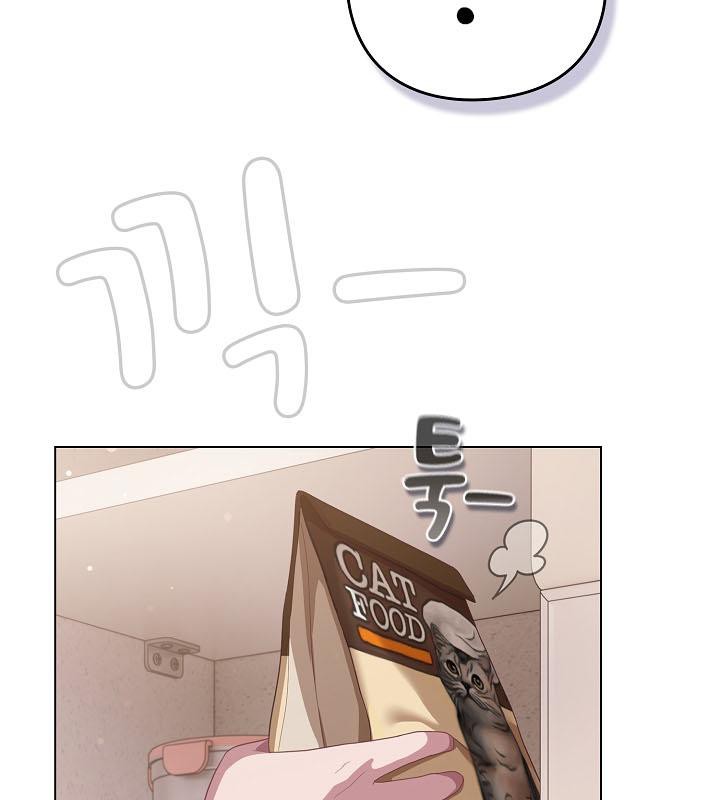 43P - 猫猫牵红线
