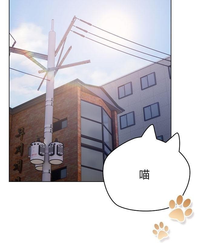 4P - 猫猫牵红线