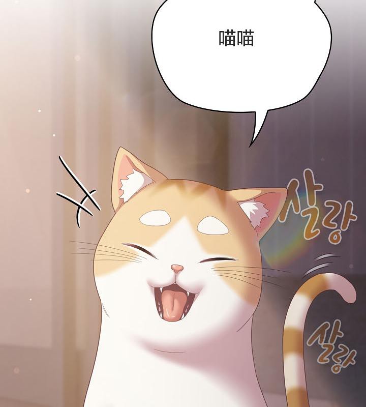 6P - 猫猫牵红线