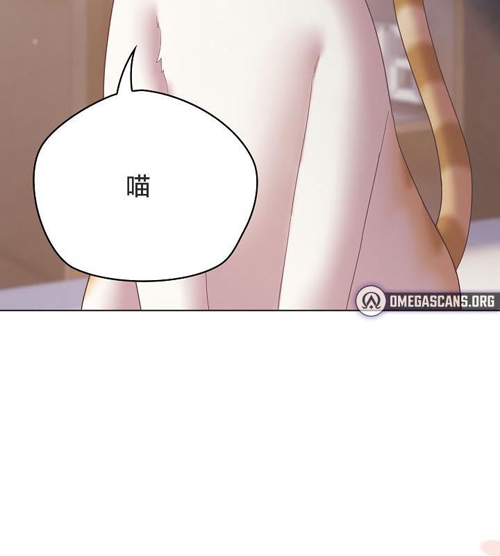 7P - 猫猫牵红线