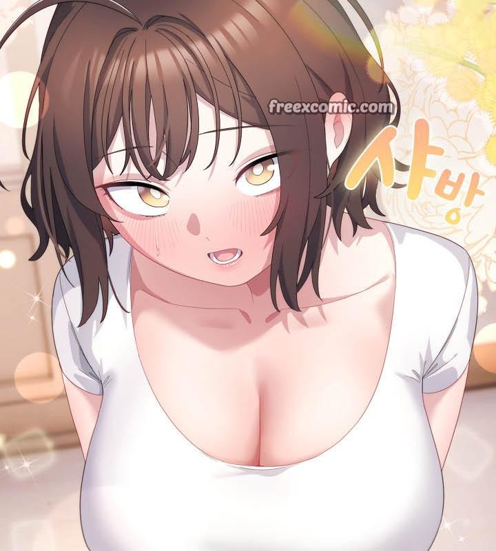 80P - 猫猫牵红线