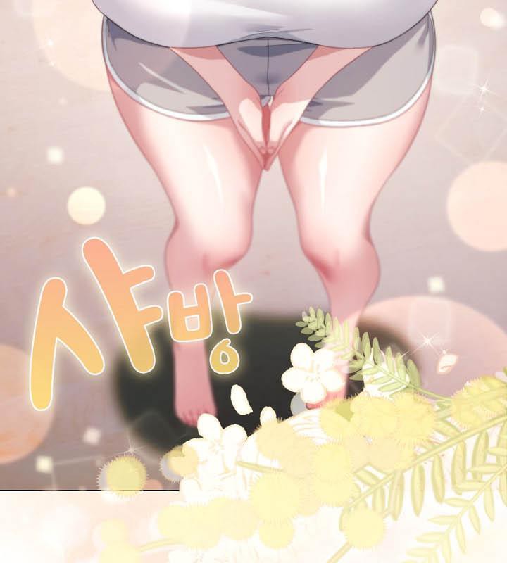 81P - 猫猫牵红线