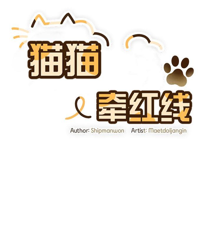 39P - 猫猫牵红线