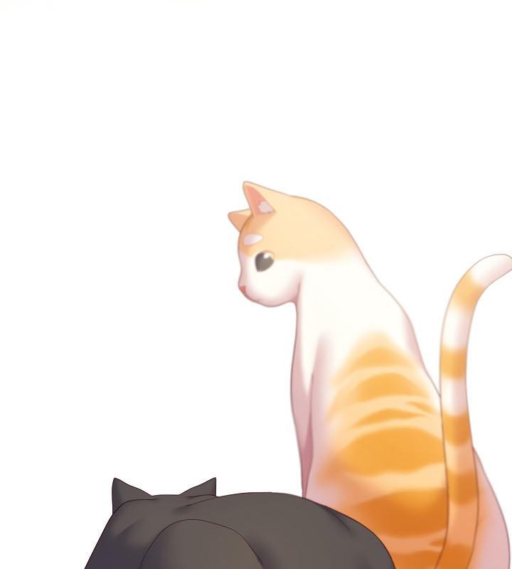 73P - 猫猫牵红线