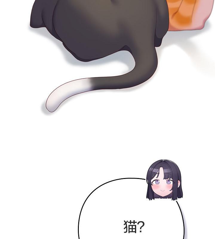 74P - 猫猫牵红线