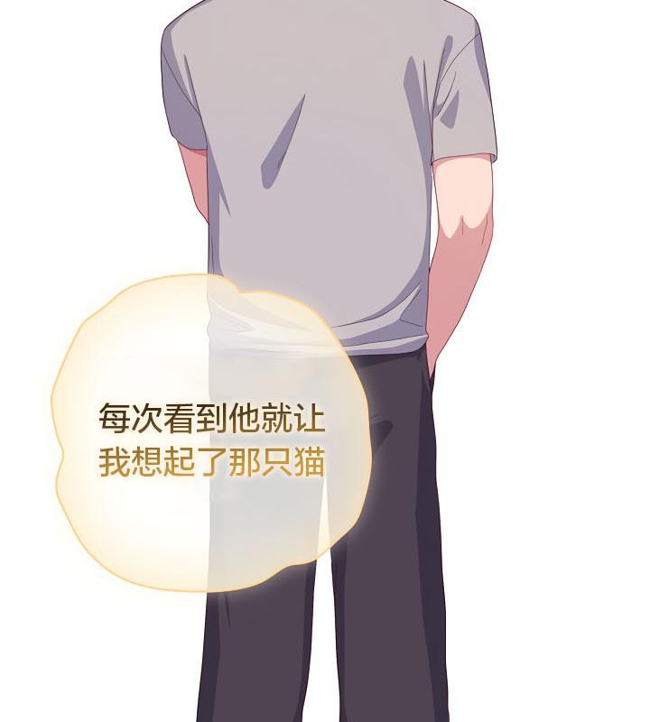 78P - 猫猫牵红线