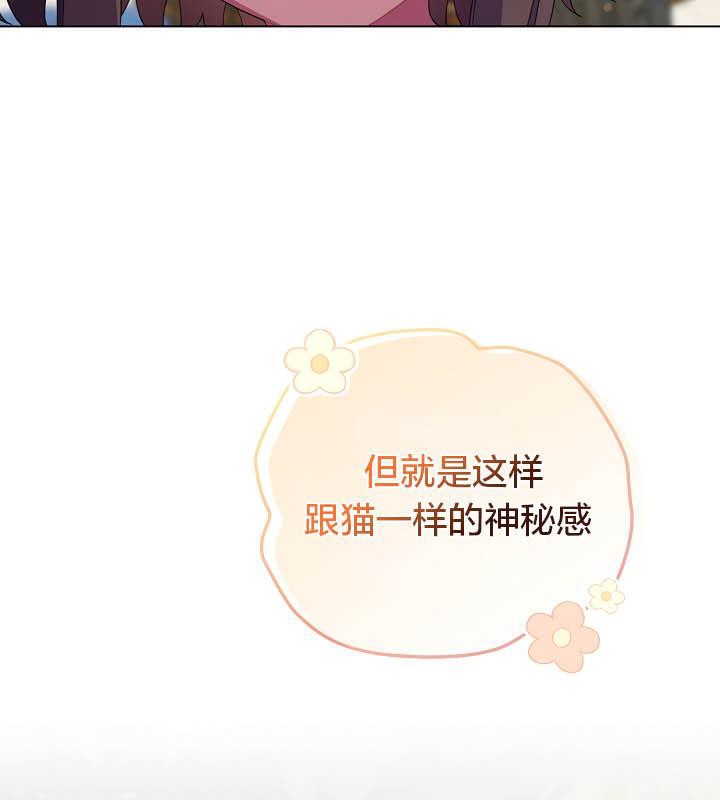 83P - 猫猫牵红线
